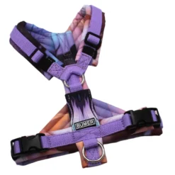 BUMER Hundegeschirr, Größe XXS/XS, Gurtband PREMIUM X Violet Veil, Softshell Federn #1, Ringe silberfarbig (Edelstahl), Schnallen schwarz (DURAFLEX®)