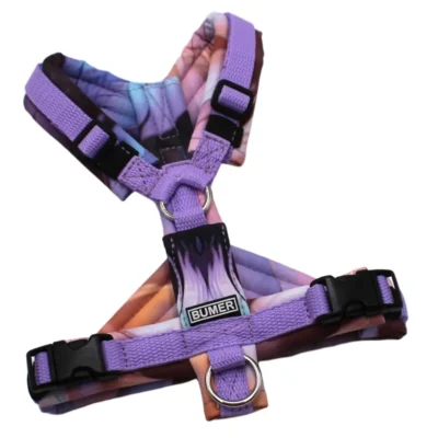 BUMER Hundegeschirr, Größe XXS/XS, Gurtband PREMIUM X Violet Veil, Softshell: Federn #1, Ringe silberfarbig (Edelstahl), Schnallen schwarz (DURAFLEX®)
