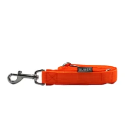 BUMER Hundeleine, 150cm (2fach verstellbar), Gurtband PREMIUM Electric Pumpkin, Softshell Neonorange, Ringe silberfarbig (Edelstahl)