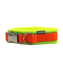 BUMER Steckhalsband, Halsumfang 37 cm, Gurtband PREMIUM Electric Pumpkin, Softshell Neongelb, Ring silberfarbig (Edelstahl), Schnalle Aluminium