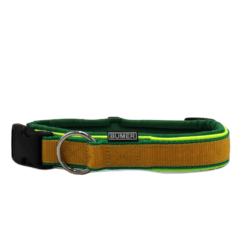 BUMER Steckhalsband, Hundehalsband für Hunde, gepolstert, Halsumfang 44-50cm, Gurtband PREMIUM X Fern Fantasy/Mais, Softshell Farngrün, Ringe silberfarbig, Paspeln Neongelb