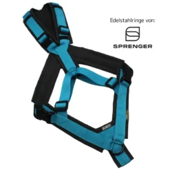 BUMER Trailgeschirr, Größe M, Gurtband PREMIUM Blue Lagoon, CORDURA® Anthrazit, Ringe schwarz (Edelstahl), Schnallen schwarz (DURAFLEX®)