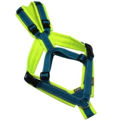 BUMER Trailgeschirr, Größe M, Gurtband Petrol REFLEX, CORDURA® Neongelb, Ringe silberfarbig (Edelstahl), Schnallen schwarz (DURAFLEX®)