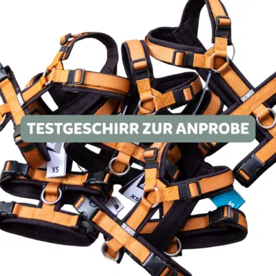 BUMER Anprobegeschirr