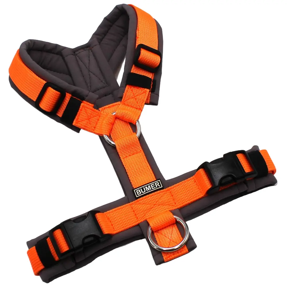 BUMER Hundegeschirr, Größe XXS, Gurtband PREMIUM Electric Pumpkin, Softshell Grau, Ringe silberfarbig (Edelstahl), Schnallen schwarz (DURAFLEX®)