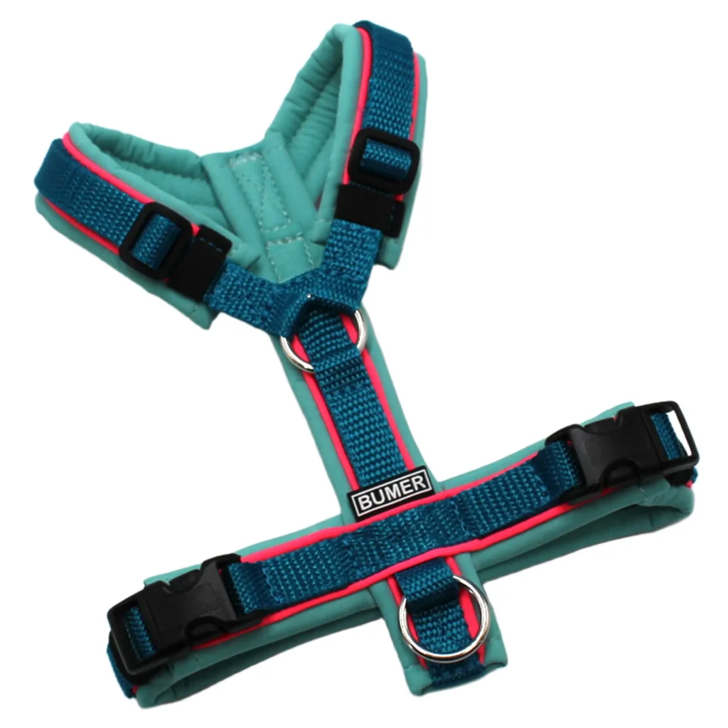 BUMER Hundegeschirr, Größe XXS/XS, Gurtband: PREMIUM X Petrol, Softshell: Minty Breeze, Ringe: silberfarbig (Edelstahl), Schnallen: schwarz (DURAFLEX®), Paspel: Neonpink (komplett)