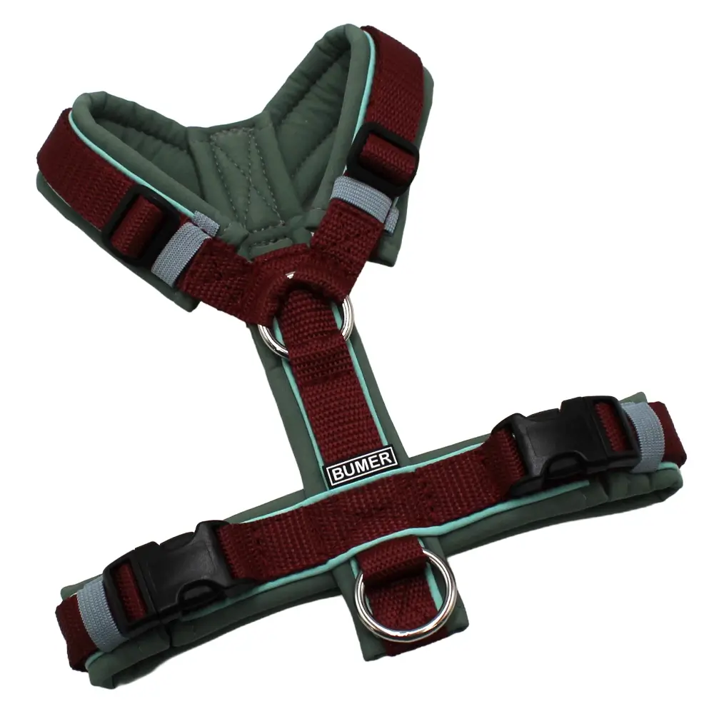 BUMER Hundegeschirr, Softshell Schilfgrün, Größe XS, Gurtband PREMIUM X Bordeaux, Ringe silberfarbig (Edelstahl), Schnallen schwarz (DURAFLEX®). Paspel Jadenluft (komplett)
