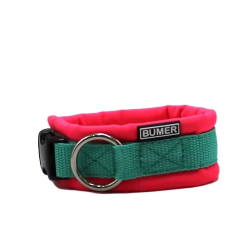 BUMER Steckhalsband, Halsumfang 26-35 cm, Gurtband Mint, Softshell Neonpink, Ring silberfarbig (Edelstahl), Schnalle schwarz (DURAFLEX®)