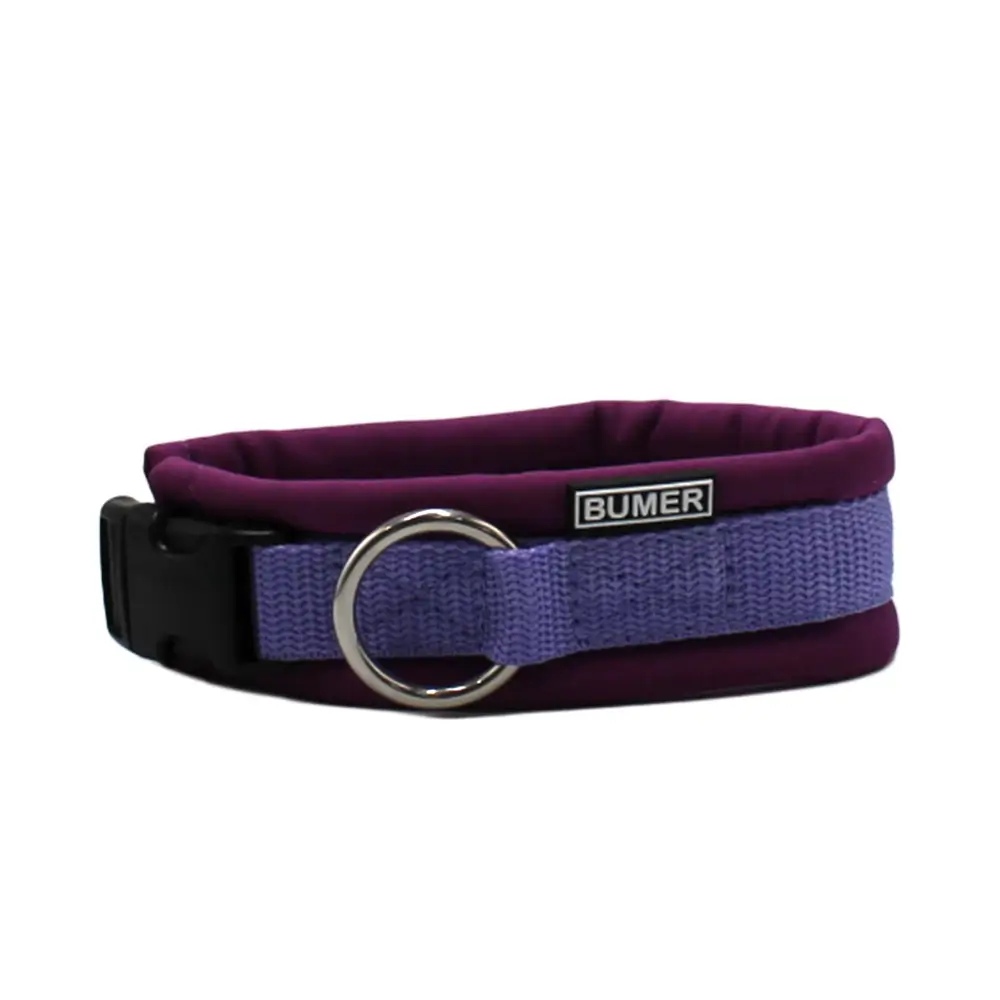 BUMER Steckhalsband, Halsumfang 30-36 cm, Gurtband Lila, Softshell Plumbrace, Ring silberfarbig (Edelstahl), Schnalle schwarz (DURAFLEX®)