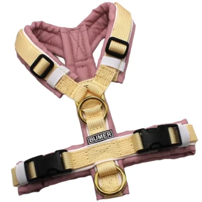 BUMER Hundegeschirr, OXFORD: MA-3003 gepolstert, Größe XXS, Gurtband: PREMIUM Buttercreme, Ringe: goldfarbig, Schnallen: schwarz ( DURAFLEX®)