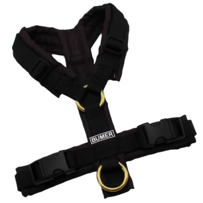 BUMER Hundegeschirr, Oxford: Nachtwein, gepolstert, Größe XXS, Gurtband: PREMIUM Pitch Black, Ringe: goldfarbig, Schnallen: schwarz ( DURAFLEX®)