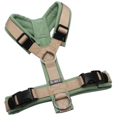 BUMER Hundegeschirr, Softshell: Eukalyptus, Größe: XS, Gurtband: PREMIUM Soft Beige, Ringe: silberfarbig (Edelstahl), Schnallen: schwarz