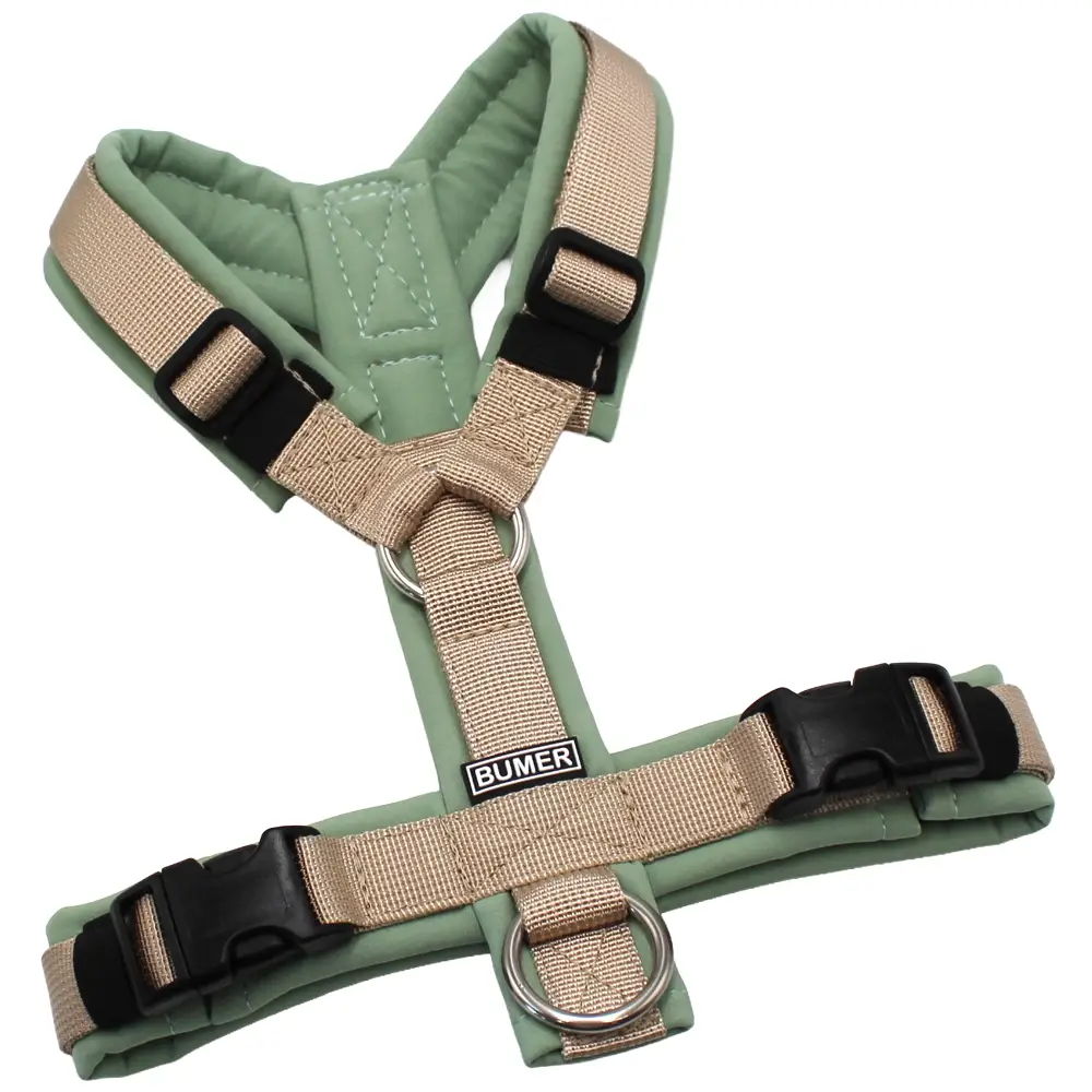 BUMER Hundegeschirr, Softshell Eukalyptus, Größe XS, Gurtband PREMIUM Soft Beige, Ringe silberfarbig (Edelstahl), Schnallen schwarz