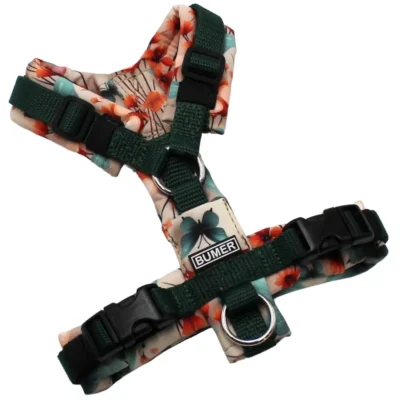 BUMER Hundegeschirr, Softshell: Korallenschwung, Größe: XXS, Gurtband: Dunkelgrün, Ringe: silberfarbig (Edelstahl), Schnallen: schwarz (DURAFLEX®)