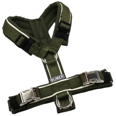 BUMER Hundegeschirr, Softshell: Olive, Größe: XXS, Gurtband: PREMIUM Wiesen Salbei, Ringe: silberfarbig (Edelstahl), Schnallen: silberfarbig (Metall)