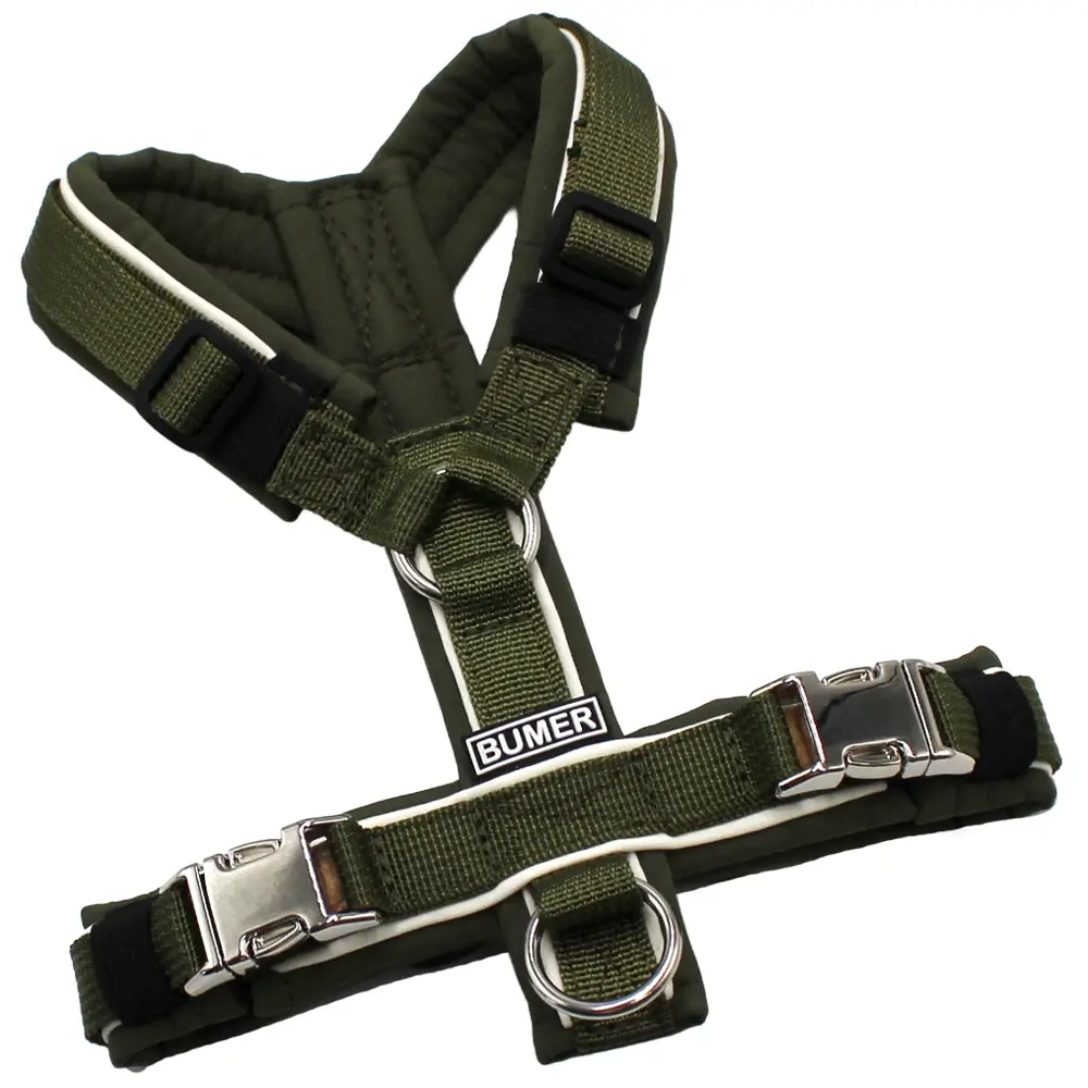 BUMER Hundegeschirr, Softshell Olive, Größe XXS, Gurtband PREMIUM Wiesen Salbei, Ringe silberfarbig (Edelstahl), Schnallen silberfarbig (Metall)