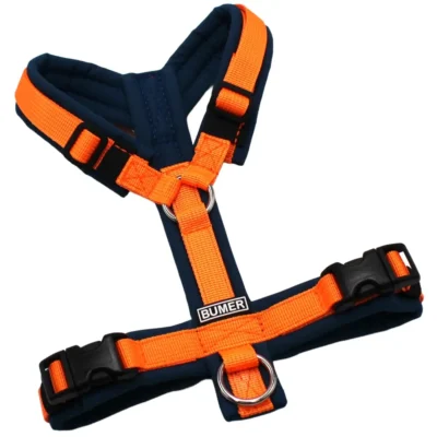 BUMER Hundegeschirr, Softshell: Petrolshade, Größe: XXS/XS, Gurtband: PREMIUM Electric Pumpkin, Ringe: silberfarbig (Edelstahl), Schnallen: schwarz (DURAFLEX®)