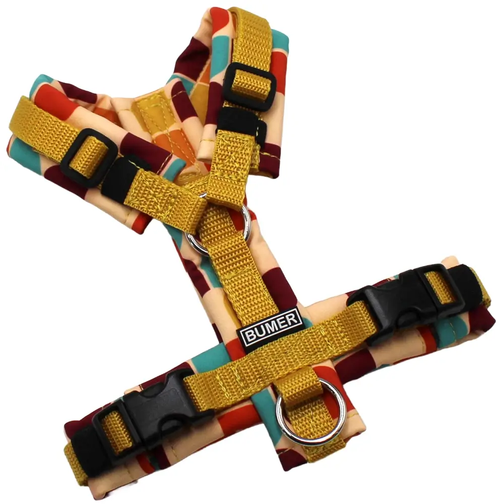 BUMER Hundegeschirr, Softshell Retro 60 #6, Größe XXS, Gurtband Gold, Ringe silberfarbig (Edelstahl), Schnallen schwarz (DURAFLEX®)