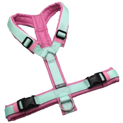BUMER Hundegeschirr, gepolstert, Größe S/M, Gurtband: PREMIUM Hellmint, Oxford: MA-1003, Ringe: silberfarbig (Edelstahl), Schnallen: schwarz ( DURAFLEX®)