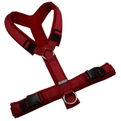 BUMER Hundegeschirr, gepolstert ohne geteilten Bruststeg, Gr&ouml;&szlig;e S/M, Gurtband PREMIUM Berry Bordeaux, Softshell Rubin Royal, Ringe silberfarbig (Edelstahl), Schnallen schwarz (DURAFLEX&reg;)