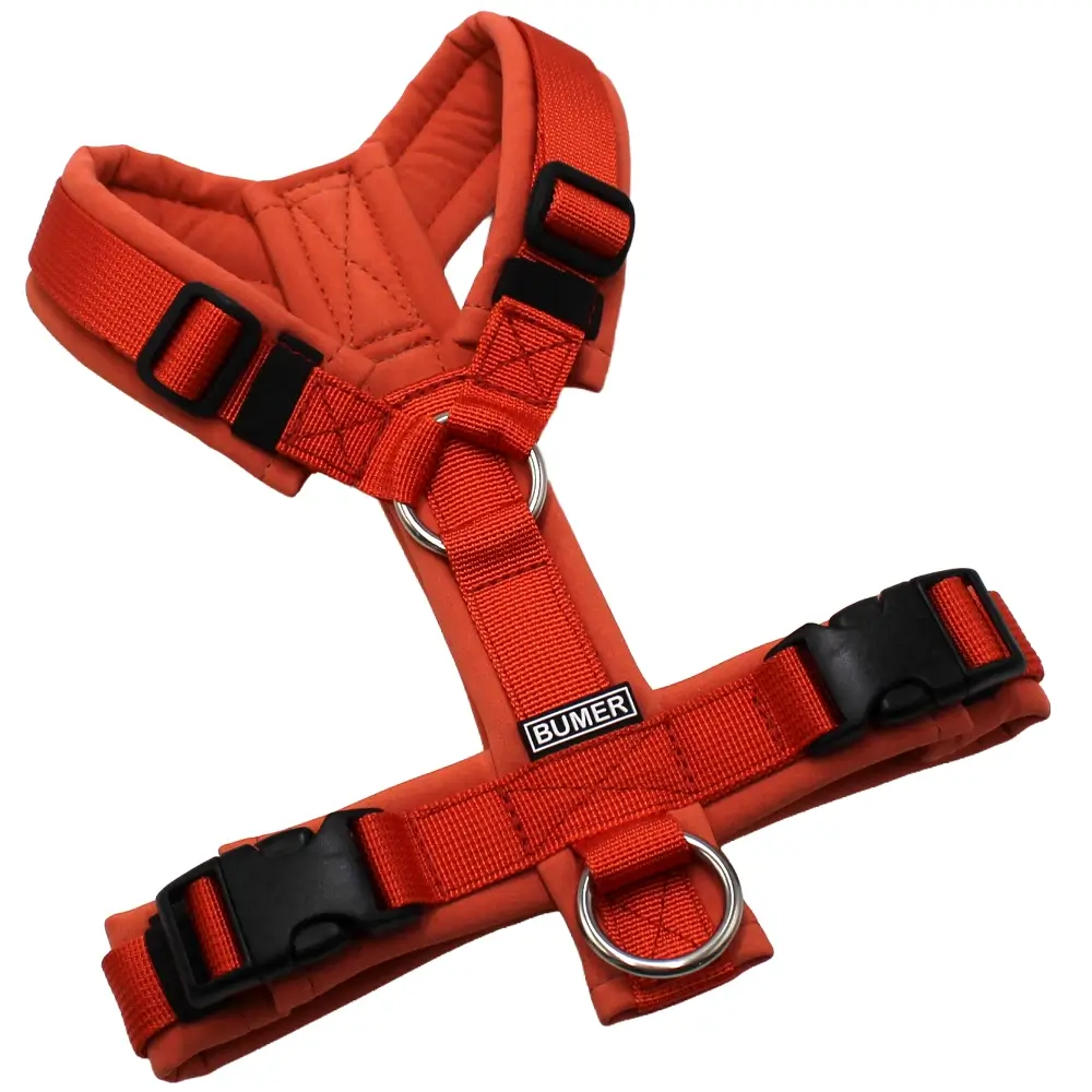BUMER Hundegeschirr, gepolstert ohne geteilten Bruststeg, Größe XS, Gurtband PREMIUM Scarlette Essence, Softshell Oxidrot, Ringe silberfarbig (Edelstahl), Schnallen schwarz