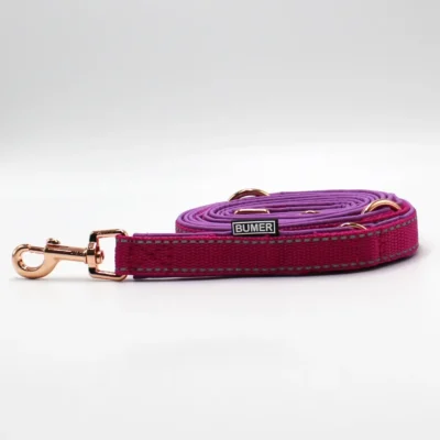 BUMER Hundeleine, 250cm (3fach verstellbar), Gurtband: Fuchsia REFLEX, Softshell: Hortensien Lila, Ringe/Karabiner: rosegoldfarbig