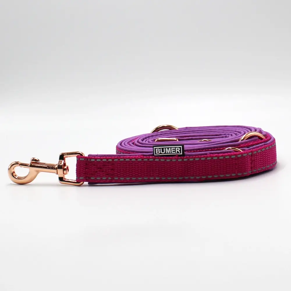 BUMER Hundeleine, 250cm (3fach verstellbar), Gurtband Fuchsia REFLEX, Softshell Hortensien Liala, Ringe/Karabiner rosegoldfarbig