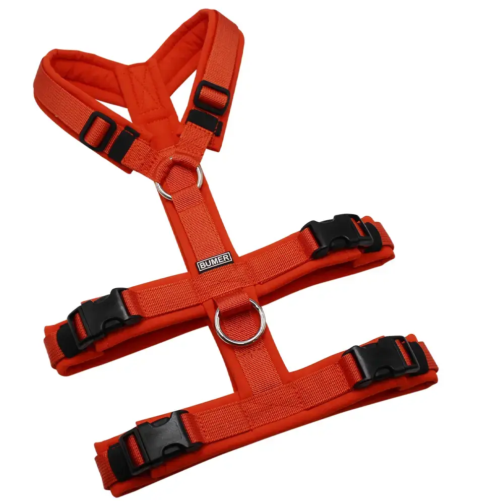 BUMER Sicherheitsgeschirr, gepolstert ohne geteilten Bruststeg, Größe XS, Gurtband: PREMIUM Scalett Essence, Softshell: Kürbisorange, Ringe: silberfarbig (Edelstahl), Schnallen: schwarz