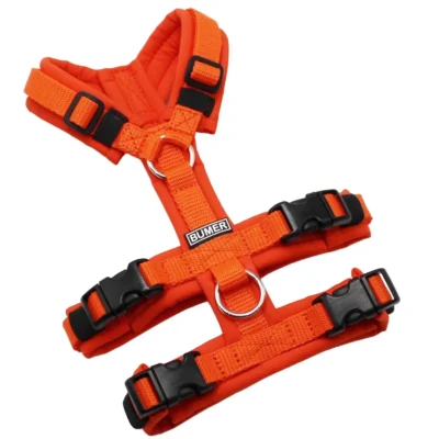 BUMER Sicherheitsgeschirr, gepolstert ohne geteilten Bruststeg, Größe XXS, Gurtband: PREMIUM X Orange, Softshell: Kürbisorange, Ringe: silberfarbig (Edelstahl), Schnallen: schwarz