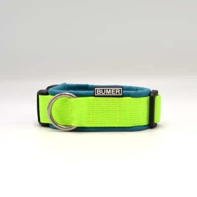 BUMER Steckhalsband, Halsumfang: 25-32cm, Gurtband: PREMIUM Neonlime, Softshell: Curacao Splash, Ring: silberfarbig (Edelstahl), Schnalle: schwarz (DURAFLEX®)