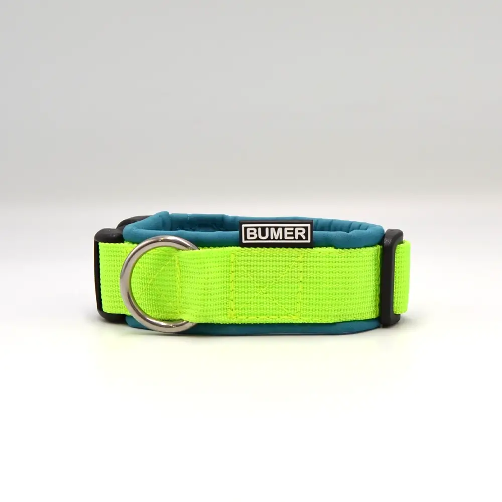 BUMER Steckhalsband, Halsumfang 25-32cm, Gurtband PREMIUM Neonlime, Softshell Curacao Splash, Ring silberfarbig (Edelstahl), Schnalle schwarz (DURAFLEX®)