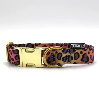 BUMER Steckhalsband, Halsumfang: 27-33cm, Motiv: Leopard Leo #6, Ring: goldfarbig, Schnalle: goldfarbig